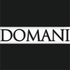 Логотип компании DOMANI